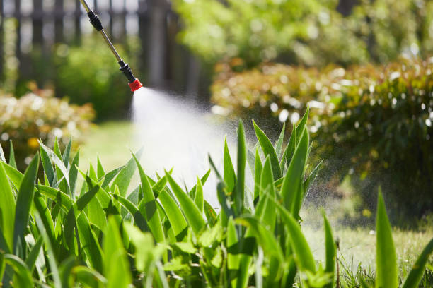 24/7 Emergency Wasp Removal experts in Palmview, TX